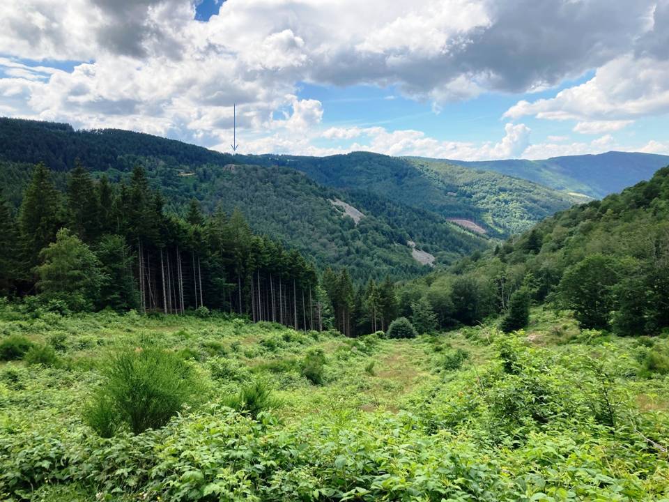 Le rocher du Thoil, dans le versant NE de la vallÃ©e du Ban