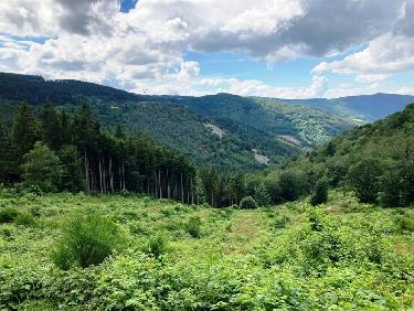 Le rocher du Thoil, dans le versant NE de la vallÃ©e du Ban