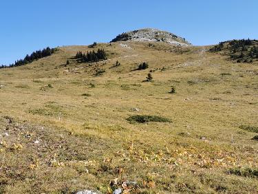 Le sommet vu de la sortie de la forÃªt
