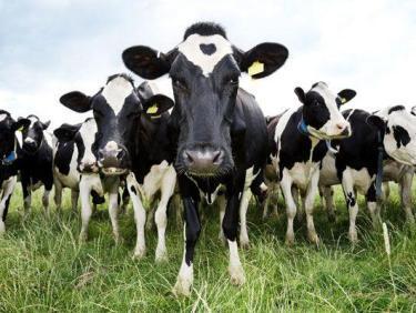 LE THERMIQUE IMPROBABLE