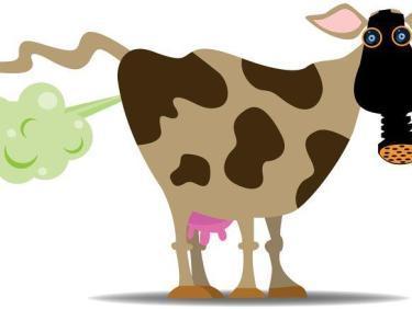 LE THERMIQUE IMPROBABLE