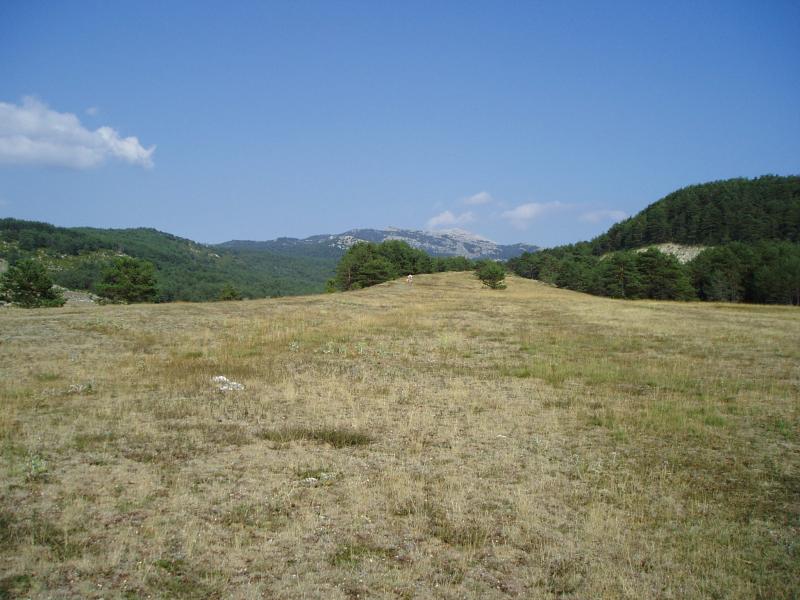 le Cheiron