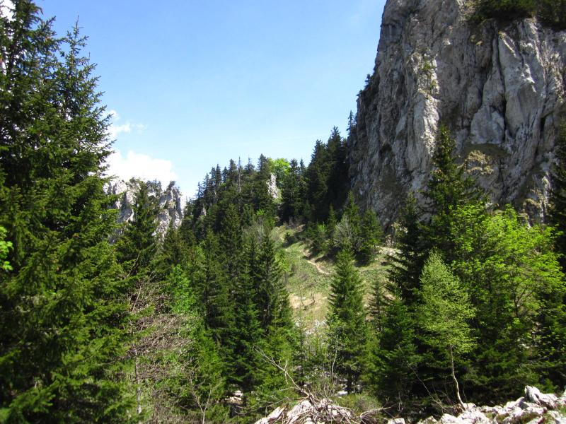 le Collet