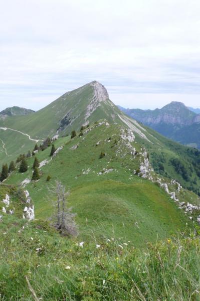 le Colombier depuis le sommet