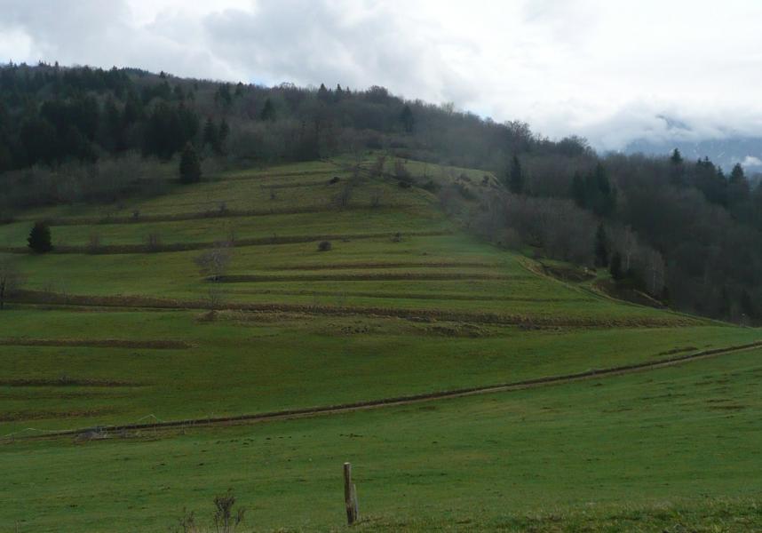 le Déco est en haut à droite