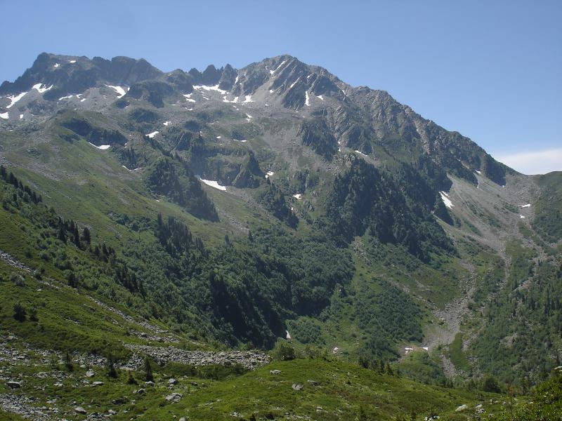 le Fort