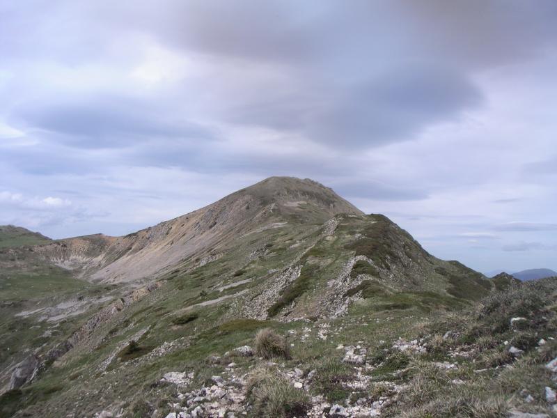 le Rognon
