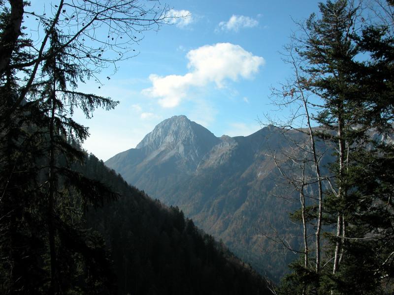 le Trélod en amont des