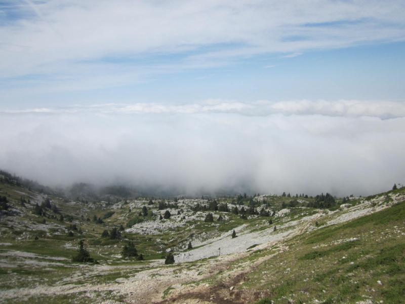 le brouillard est derrière