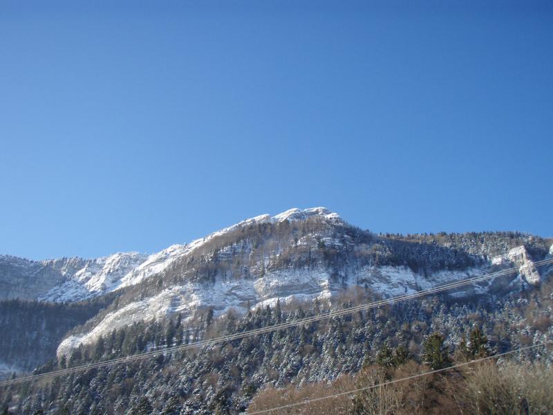 le but du jour depuis la maison