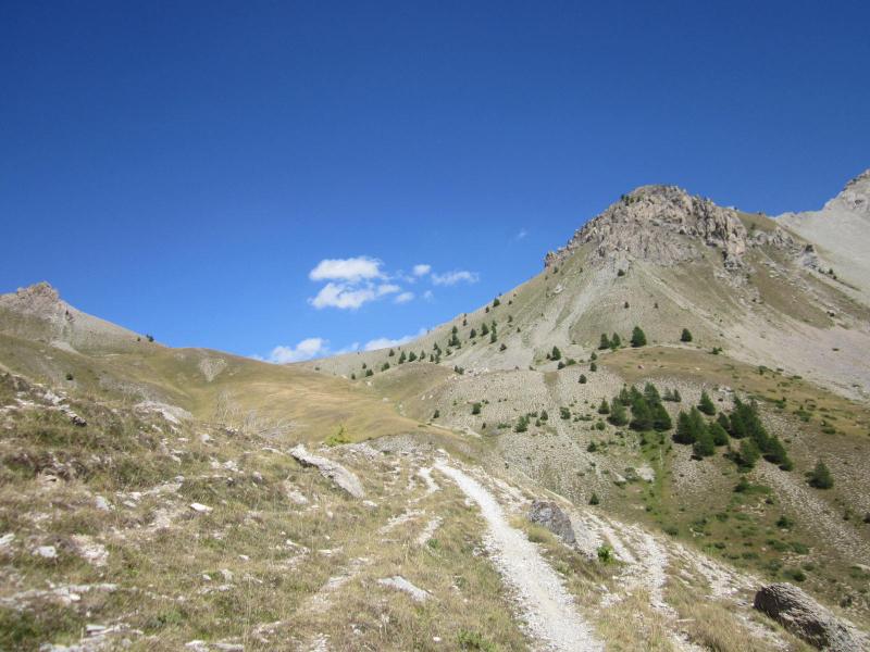 le col