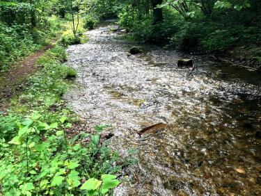 Le Furan depuis la sente de pêcheur
