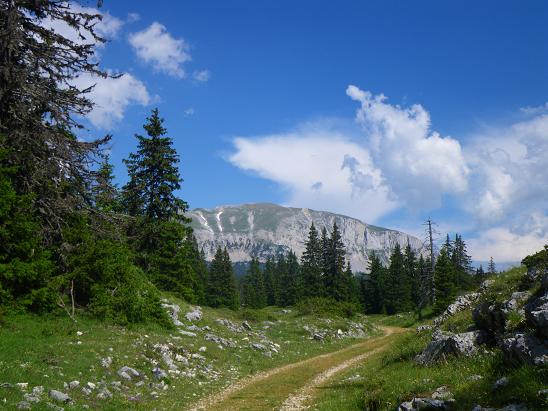 le grand veymond
