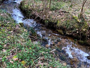 Le Jarret en aval du gué