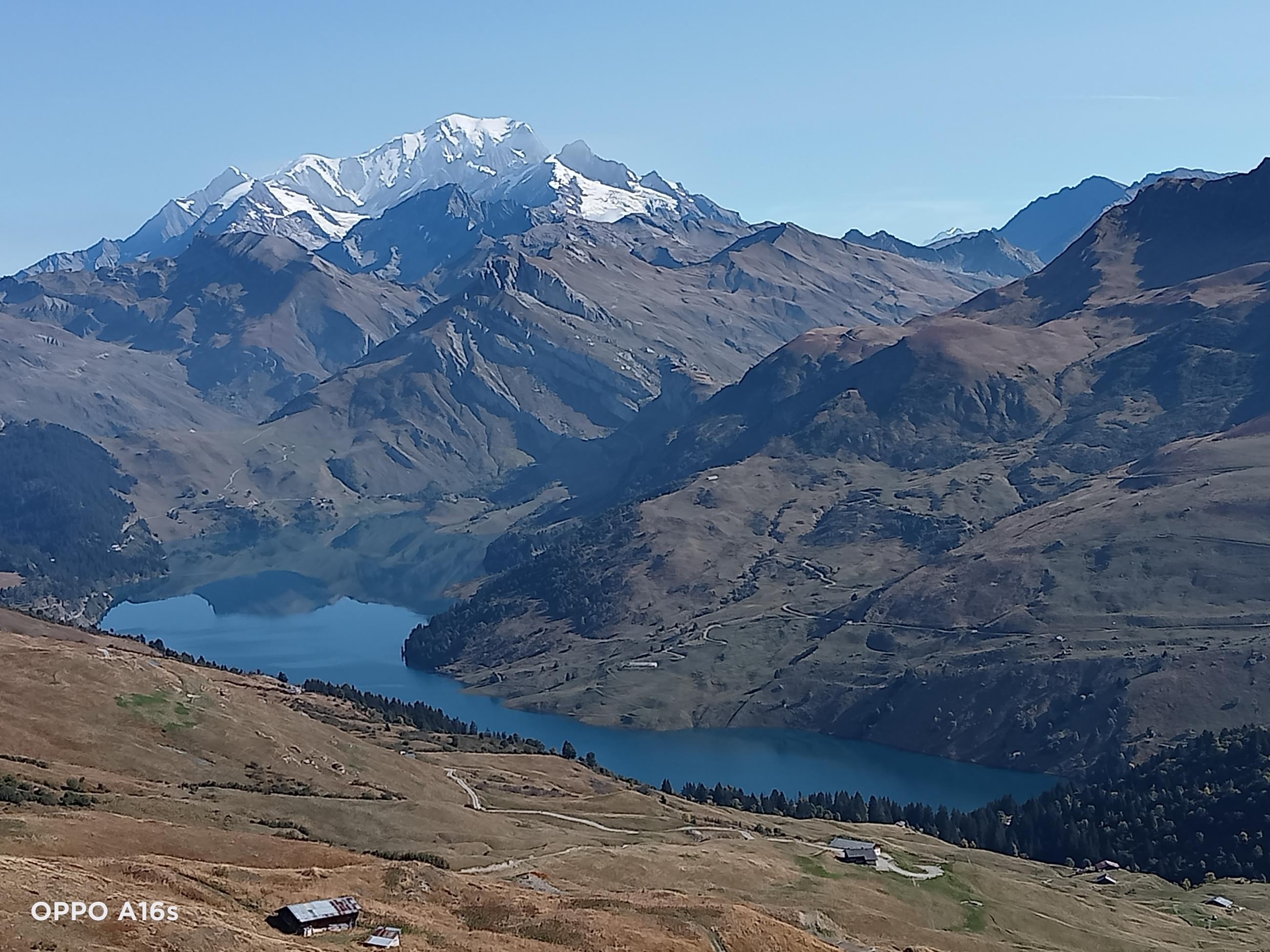 Le maître des lieux