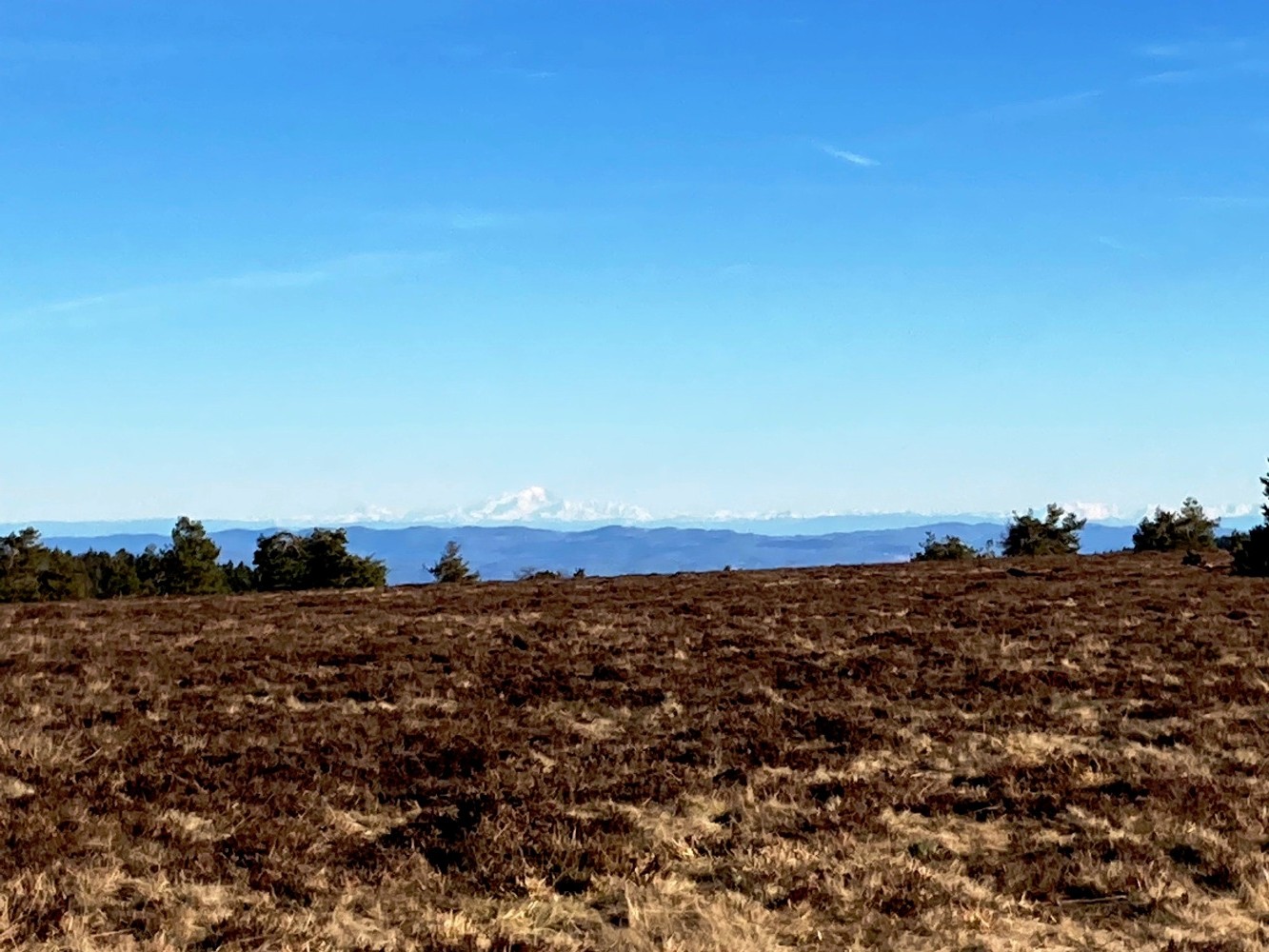 Le Mont Blanc depuis les Hautes Chaumes