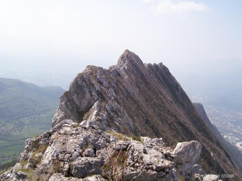 le néron et ses arêtes