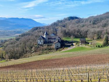Le pôle espoir France 