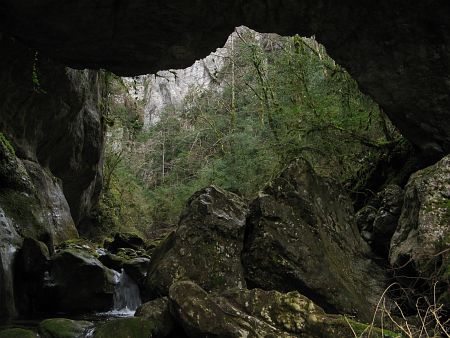 le pont de la Reine ?
