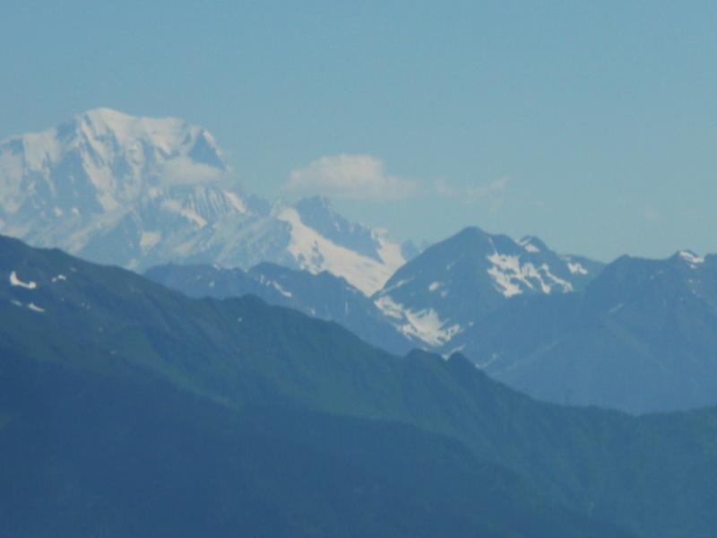 le roi des Alpes dans la brume