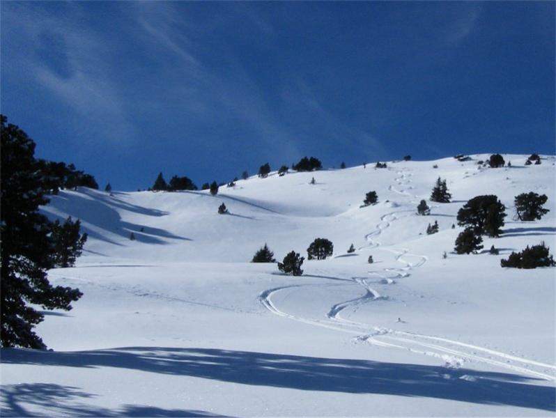 le sommet