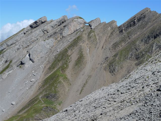 le trou vu de pelouse