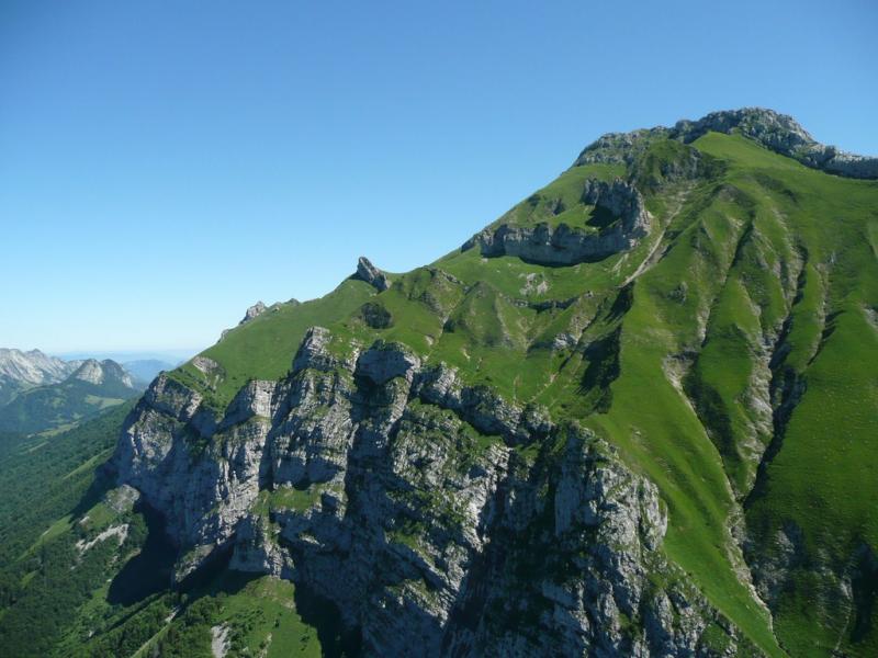 le vert Trélod (terrain plein de chamois)