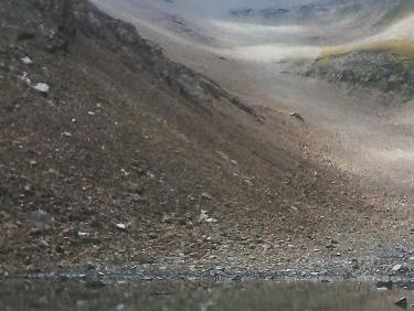 leger arc-en-ciel dans la brume