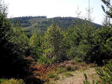 Les Cimes depuis les 3 Chiens