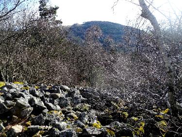Les Courtines depuis les Fayes