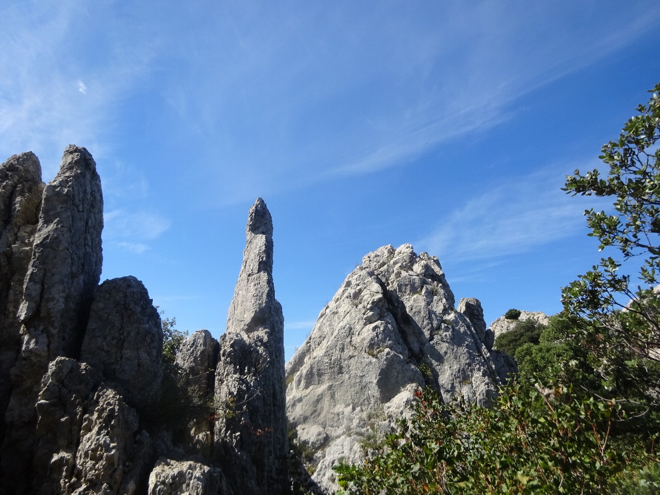 Les Dentelles Sarrasines
