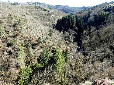 Les gorges (vers l'amont) depuis la Tour