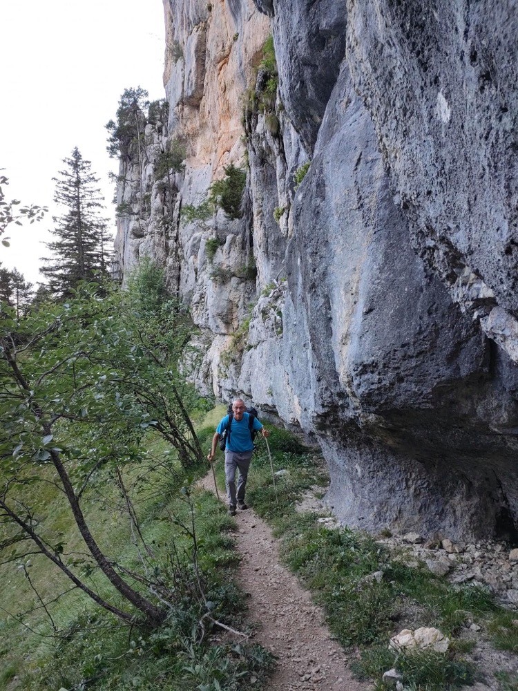 Les molosses de Bellefont