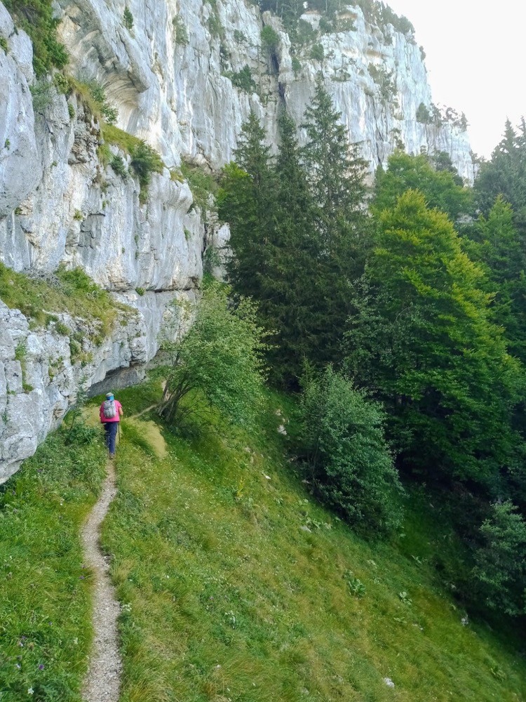 Les molosses de Bellefont