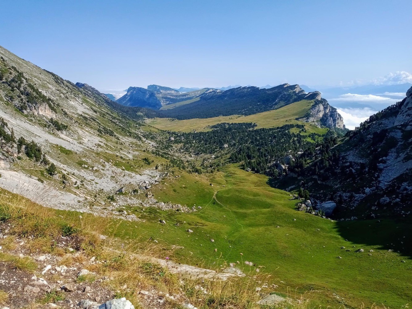 Les molosses de Bellefont