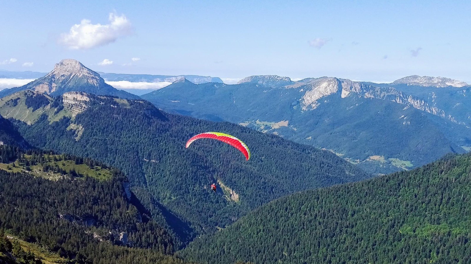 Les molosses de Bellefont