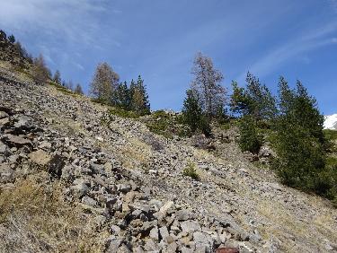 Les pierriers Ã  l&apos;est du ravin de la Gourette de Reyssas