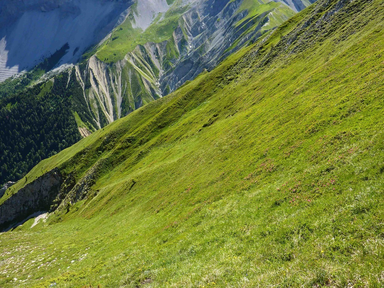 Les premiÃ¨res pentes sont un peu raides quand mÃªme