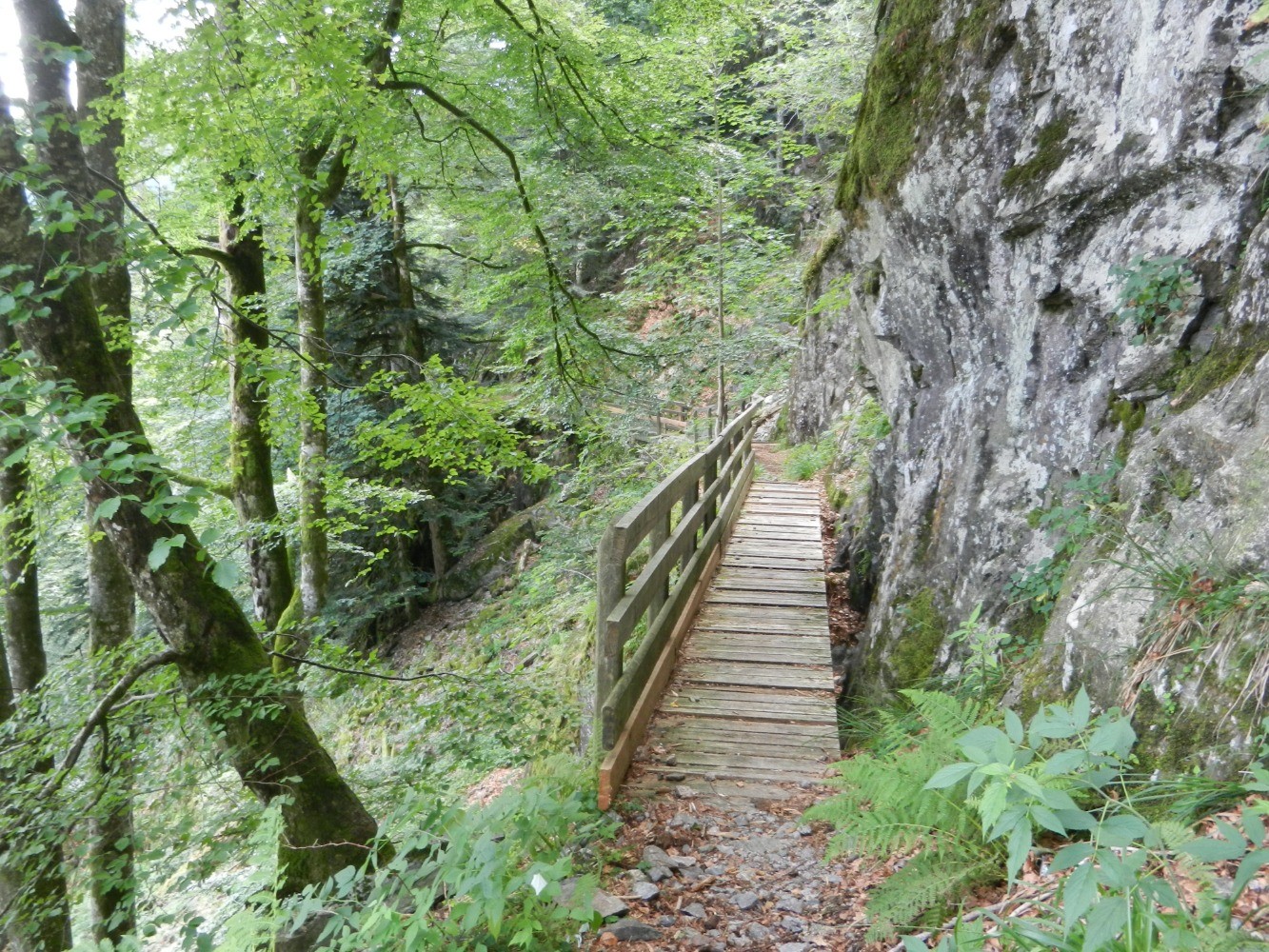 Les Roches de Morteville