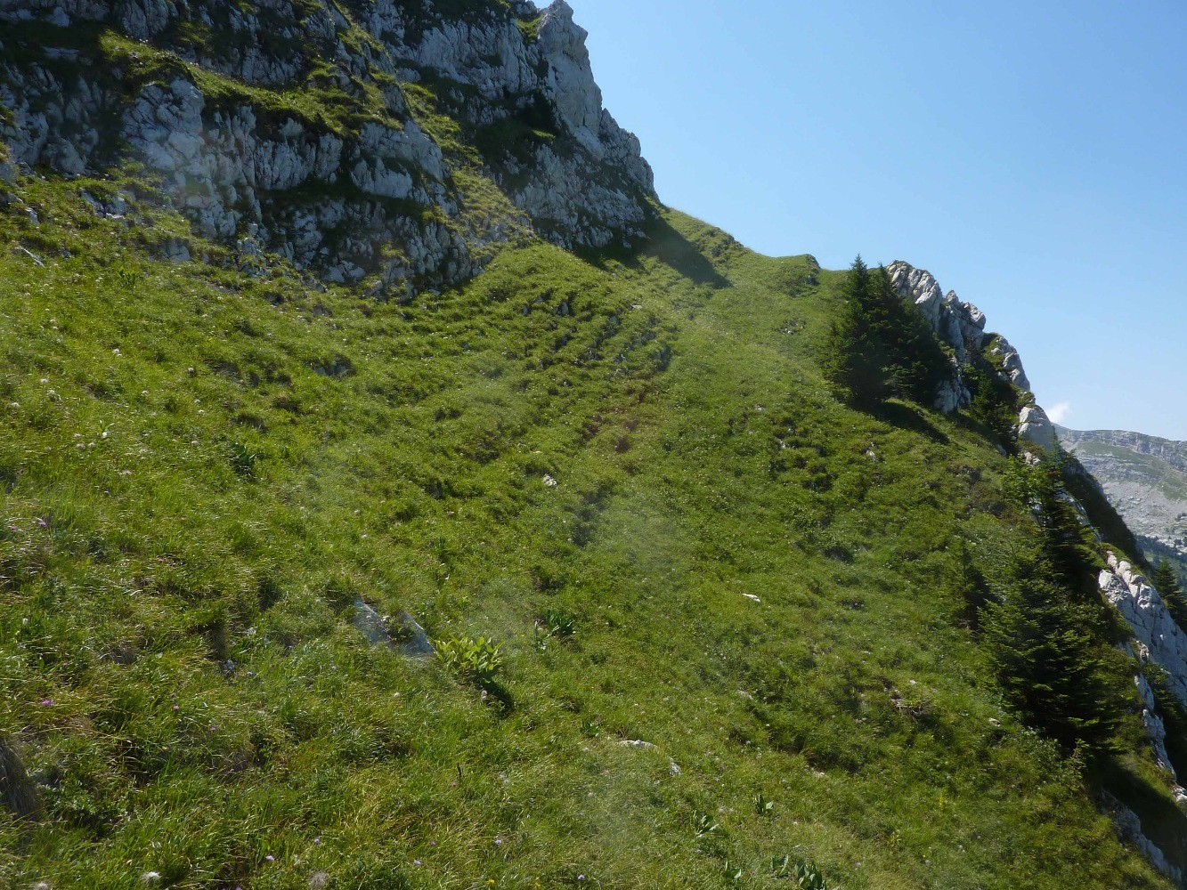 Les surprenants sillons des Montagnes Russes