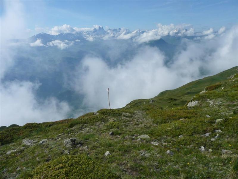 les 5 metres de course avant la grande marche
