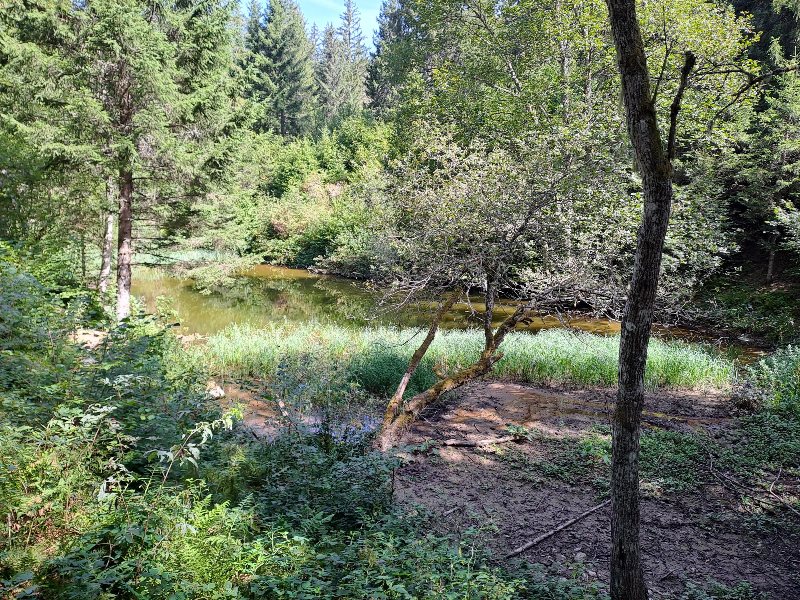 les Adrets étang du pré de l'arc