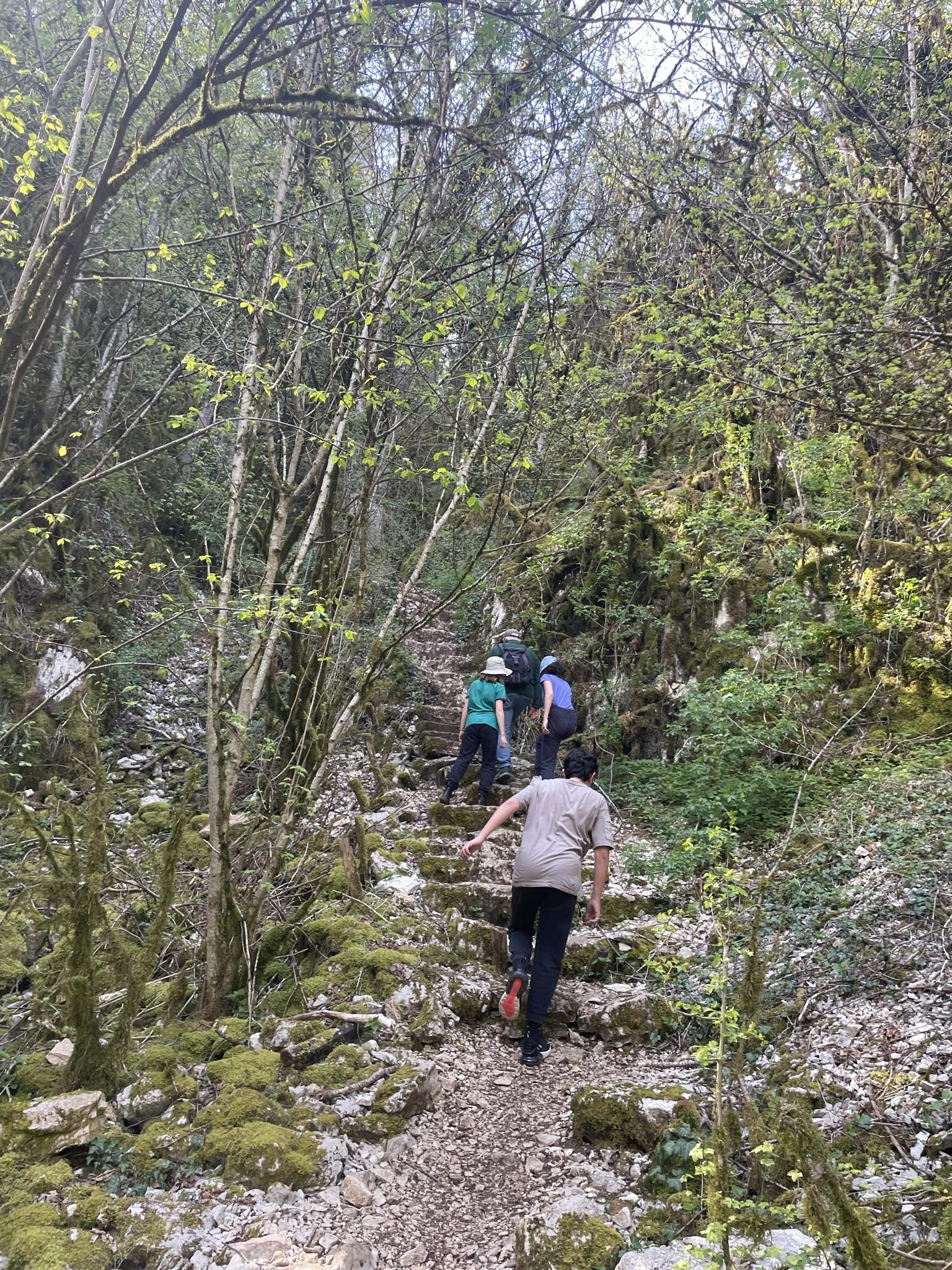 Les cent marches de Brochon