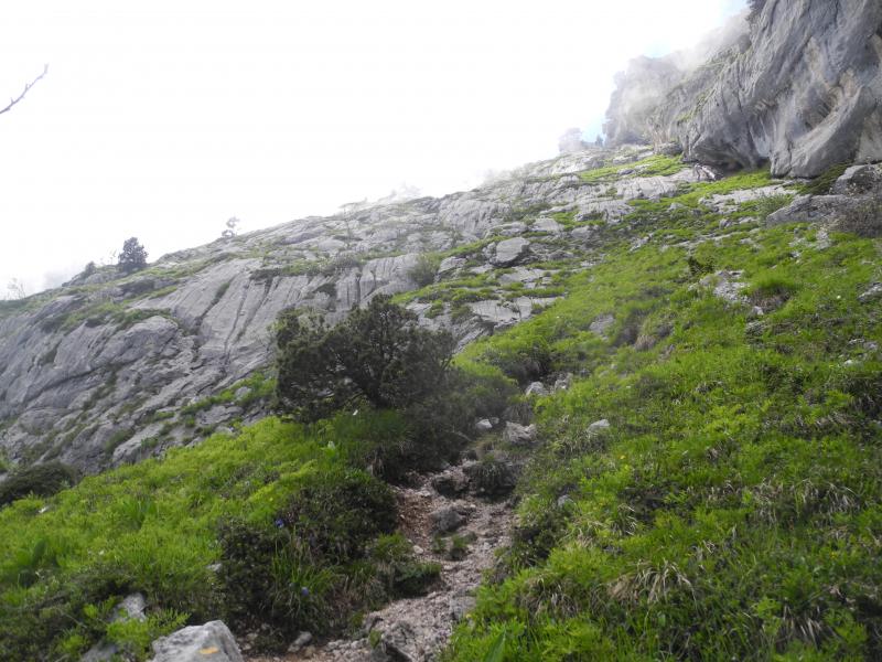 les dalles sous Rocheplane