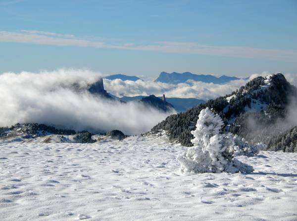les hauts plateaux