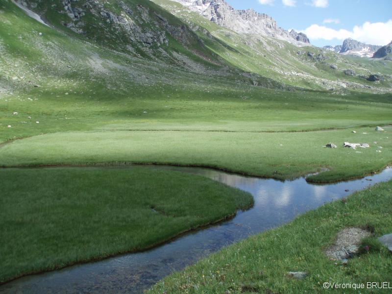 les méandres du Ponturin