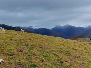 Les mystérieuses pierres dressées