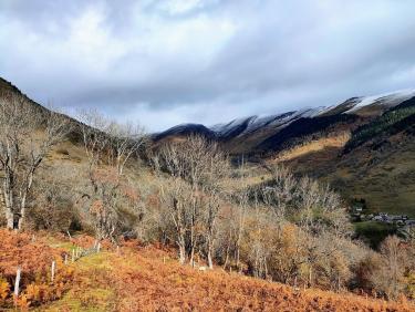 Les mystérieuses pierres dressées