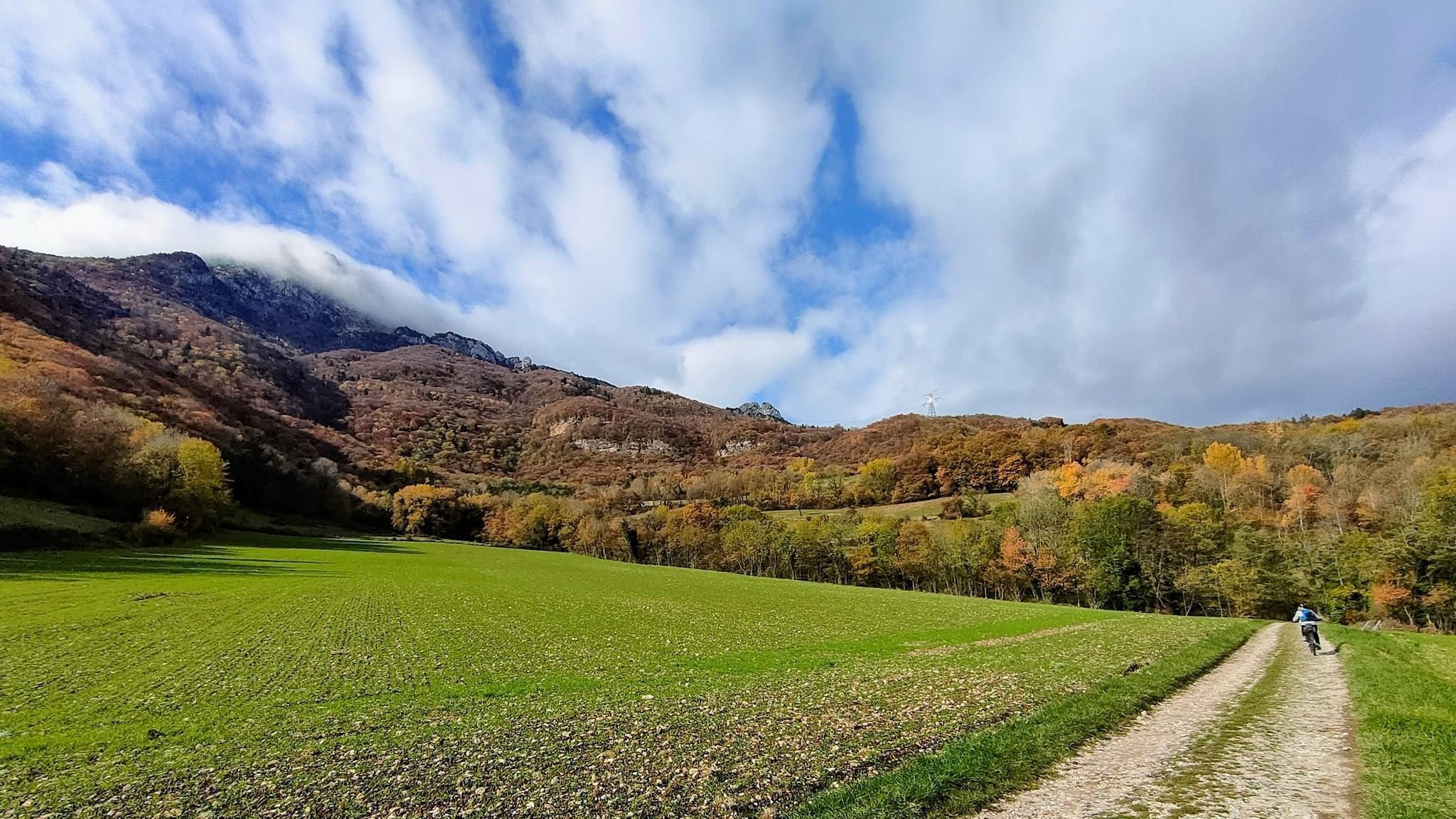Les ors de l’automne 