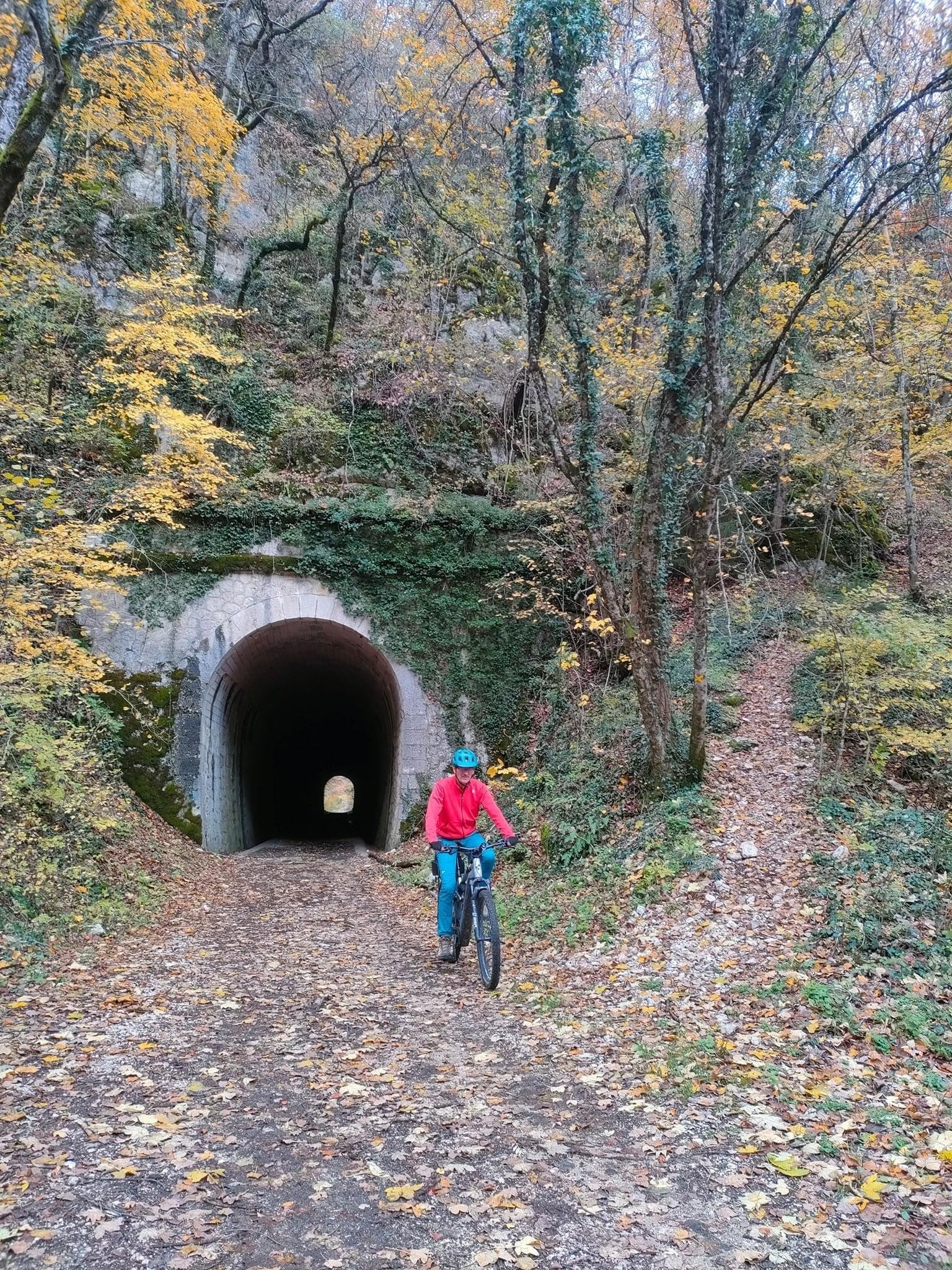 Les ors de l’automne 
